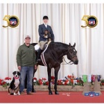 HOTT AND DANGEROUS - Out of Mrs Steven Rudy